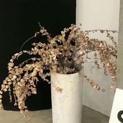 兽设海洋场景设计FurryQQ群